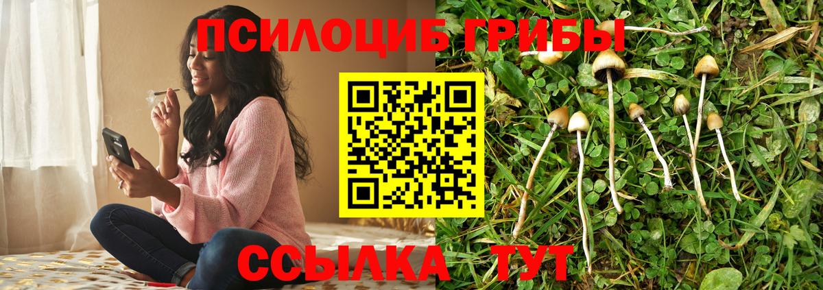 Псилоцибиновые грибы мухоморы  Вход с VPN  как найти   Псилоцибиновые грибы ЛСД  Холмск 